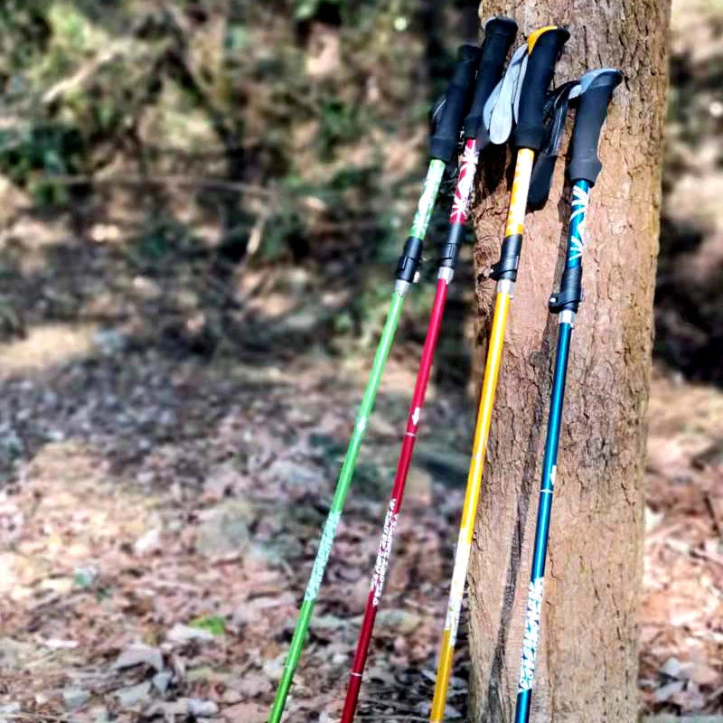 Lightweight, Foldable & Portable Walking Stick for CampingS