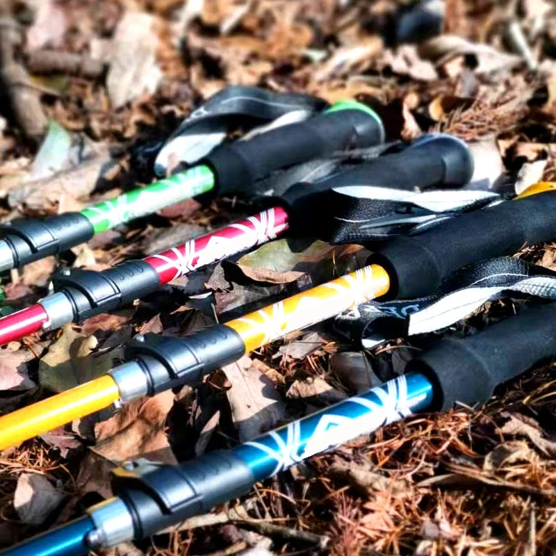 Lightweight, Foldable & Portable Walking Stick for CampingS