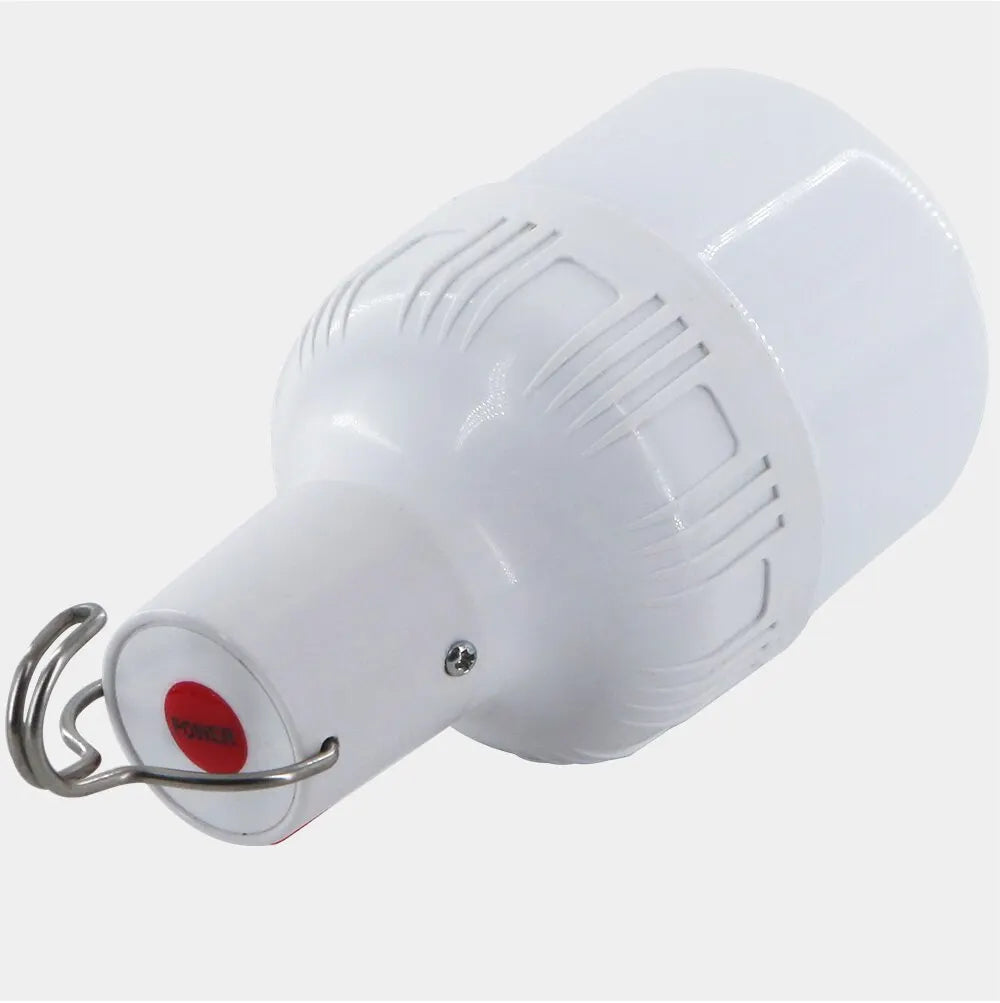 LED camping light