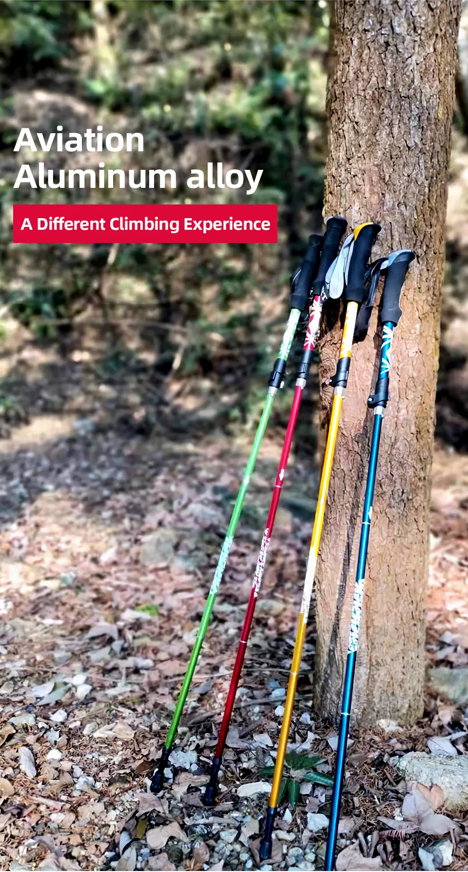 Lightweight, Foldable & Portable Walking Stick for CampingS